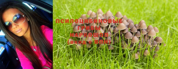 дмт Аркадак