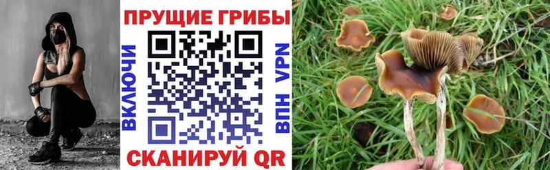 Галлюциногенные грибы MAGIC MUSHROOMS  Сольцы 